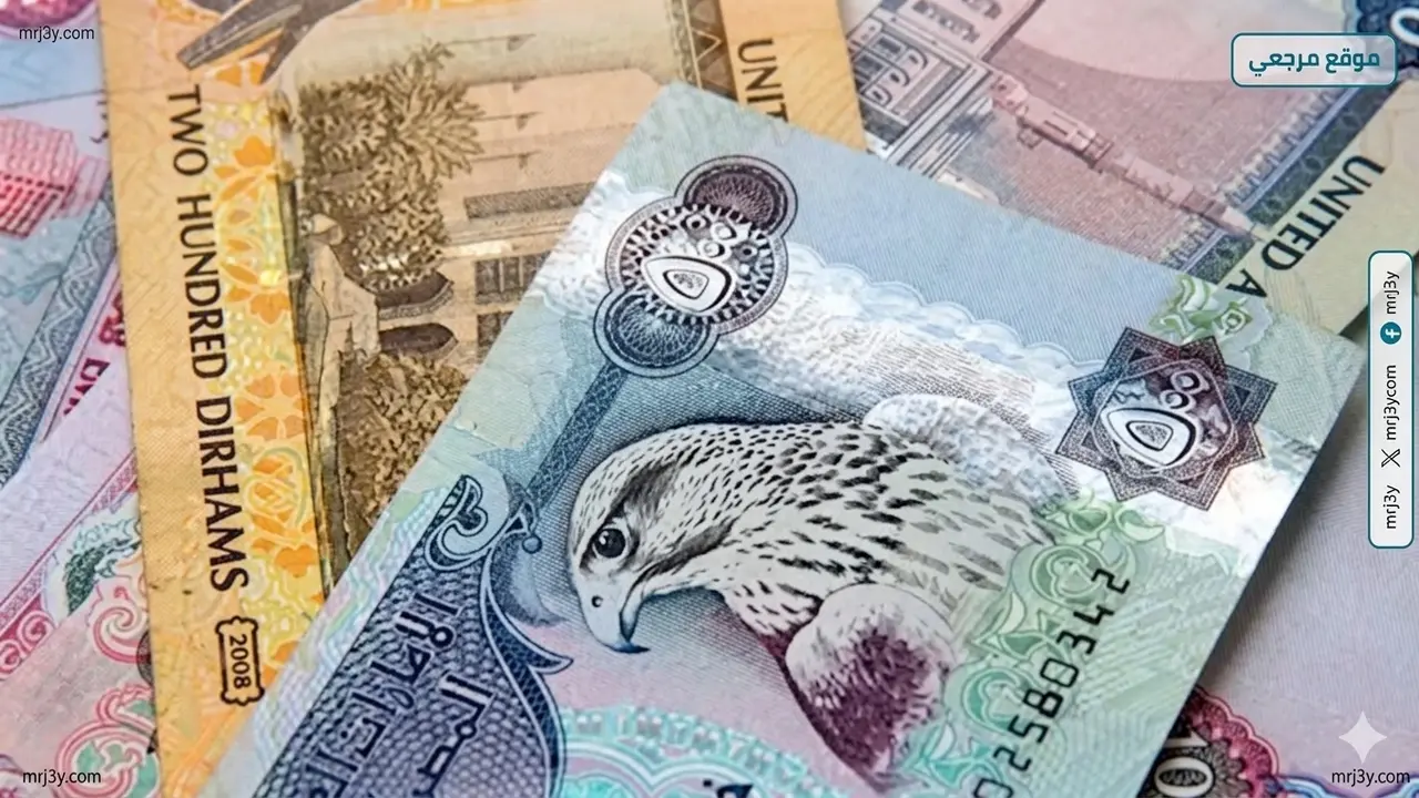 سعر الدرهم الإماراتي يحافظ على استقراره داخل البنوك المصرية خلال التعاملات الأخيرة